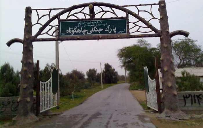 پارک جنگلی چاه کوتاه