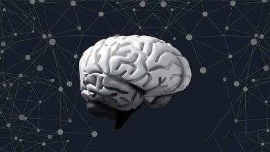 مهارت های ذهنی