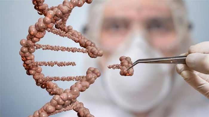 پیشرفت پیشرفت | تحصیل و درس | علمی